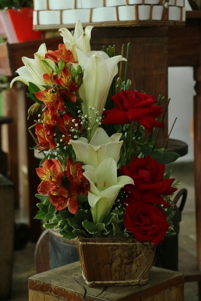 Flores